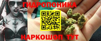 кокс Гагарин