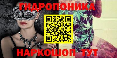 эйфоретик Гай
