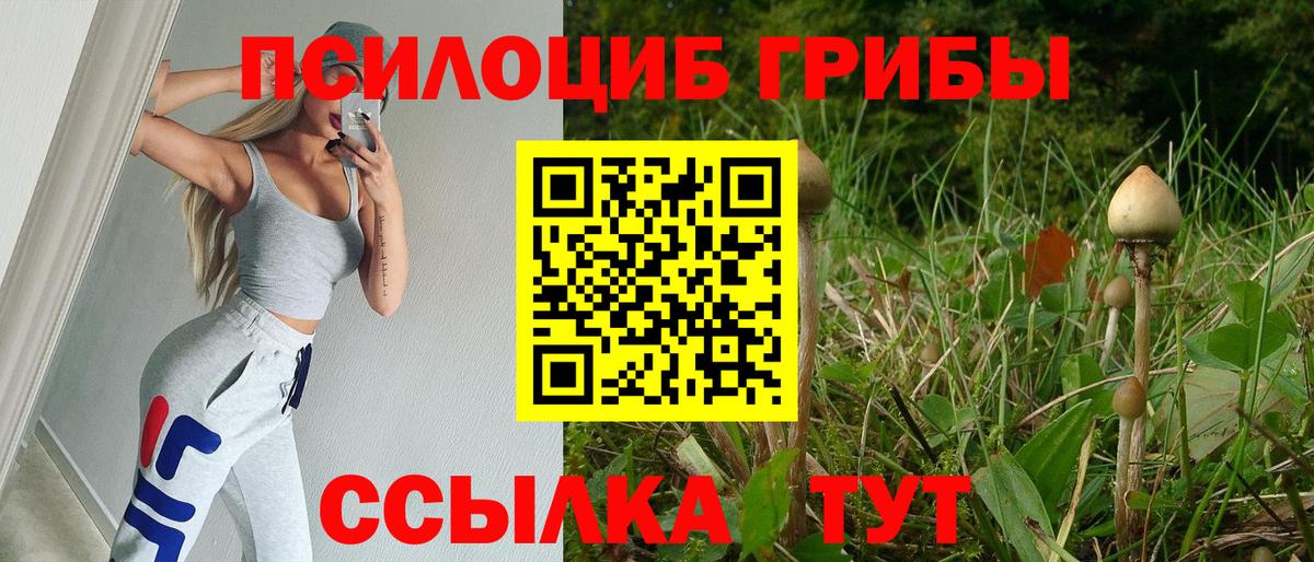 Псилоцибиновые грибы Cubensis  наркошоп  Малгобек  Вход с VPN 